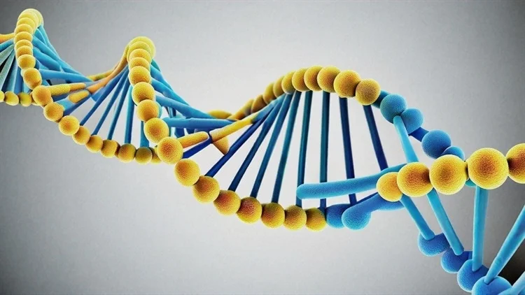 MethylGPT اسرار DNA را برای پیش بینی سن و بیماری باز می کند.